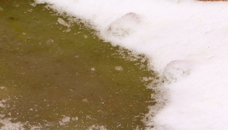 Жители микрорайона Хромпик обеспокоены зелёным снегом