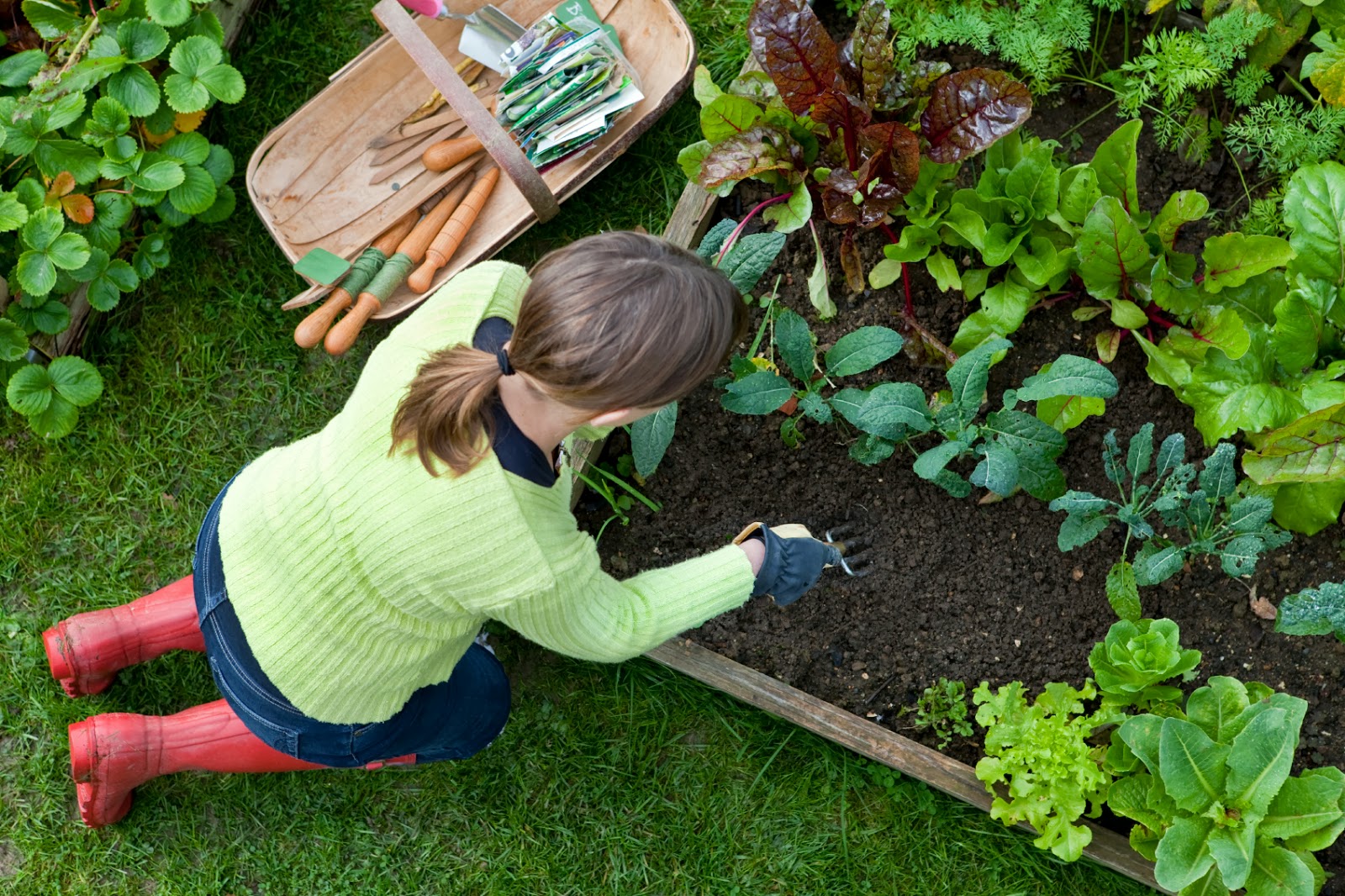 Закон о садоводческих и огороднических товариществах
