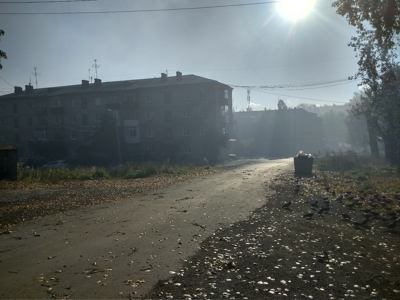 Пожар на полигоне завода ТБО