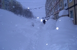 Дом или авгиевы конюшни?