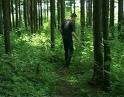 Потерялся в лесу и сам нашелся. Видео 