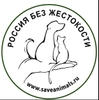 Общество защиты животных проводит акцию в поддержку четвероногих