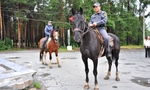 В Первоуральске жители одного из дворов предъявляют претензии к конной милиции