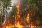 На территории Первоуральска действует 10 очагов природных пожаров