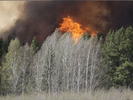 Всплеск лесных пожаров ожидается в Свердловской области. Первоуральск – в зоне риска