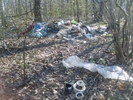 На территории ГО Ревда выявлено 13 несанкционированных свалок твердых бытовых отходов