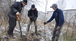 В Первоуральске посадили первые 50 рябин в память о Борисе Рябинине