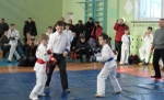 В Первоуральске прошли соревнования Открытого Кубка города по джиу-джитсу среди детей и юношей