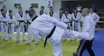В Первоуральске опробуют корейскую систему обучения боевым искусствам на расстоянии