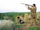 Весенний сезон охоты в Свердловской области стартует 10 мая