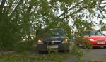 На улице Ленина на автомобиль упало дерево. Видео