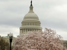 Сенат США расширил сферу действия "закона Магнитского" 
