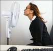 Инспекторы труда рекомендуют в жару увеличить перерывы на отдых