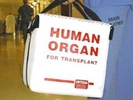 Минздрав готовит проект закона, разрешающего трансплантацию детских органов
