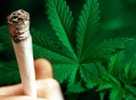 Учёные выяснили, что курение марихуаны в подростковом возрасте приводит к снижению уровня интеллекта