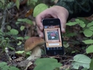 Собирать грибы поможет смартфон
