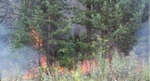 Пожароопасный сезон-2012 на Среднем Урале официально закрыт