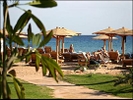 На популярнейшем египетском курорте предотвращен теракт против туристов