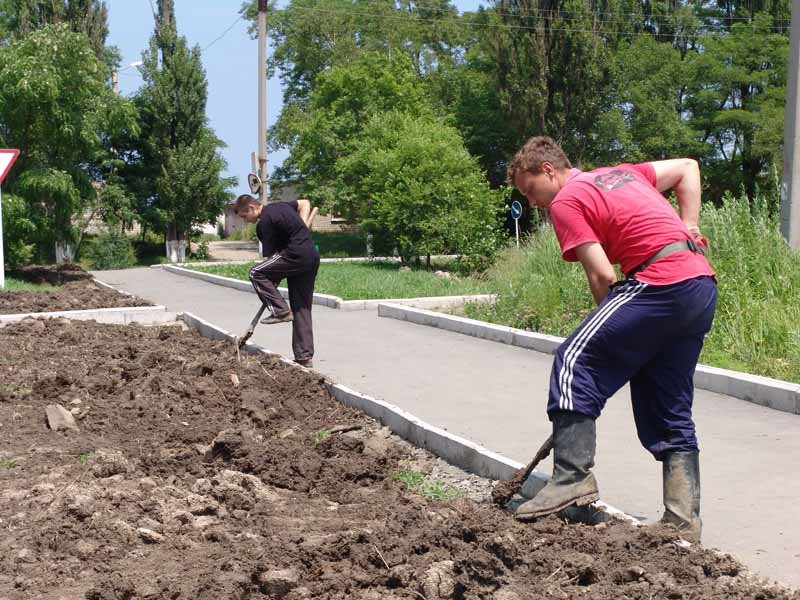Конец трудового лета: Центр занятости подводит итоги трудоустройства подростков. Видео