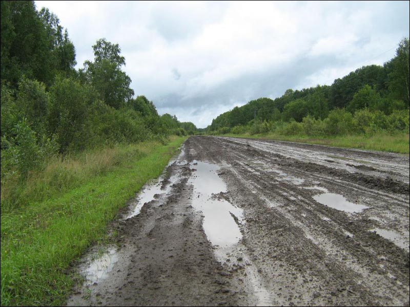   500 метров дороги от Решет до Новоалексеевки отремонтируют в следующем году. Видео  