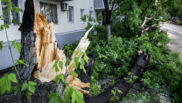 Последствия непогоды - поваленные деревья и поврежденные линии электропередач