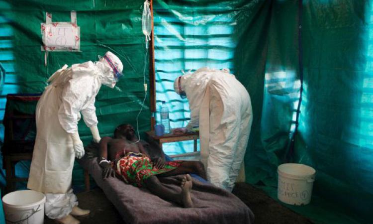 Российские учёные отправились в Африку на борьбу со смертельно опасной лихорадкой Эбола