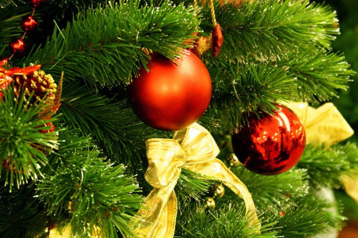 Новогодние каникулы россиян в 2015 году продлятся 11 дней
