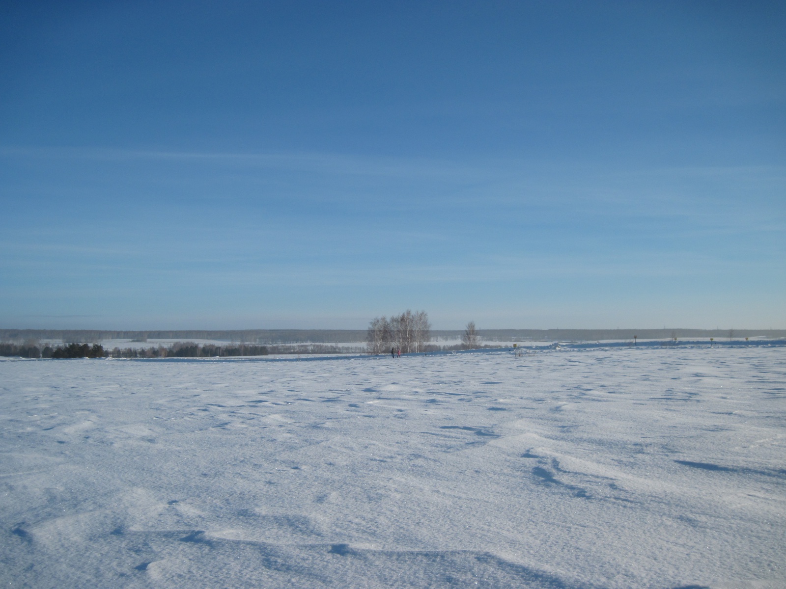 В Свердловской области 15% зерновых остались под снегом