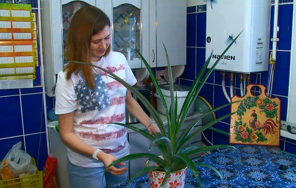 Всемирный день ананаса отмечает жительница Первоуральска