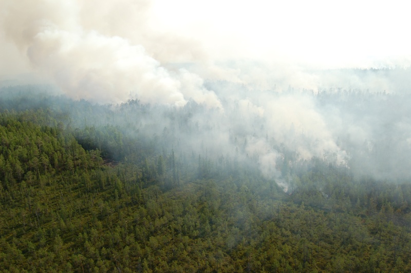 В Свердловской области зарегистрированы первые природные пожары