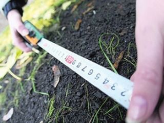С 1 июня в России начнется перепись земельных участков