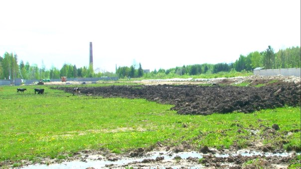 За и против вредного производства. На Среднем Урале строят завод по переработке сурьмы