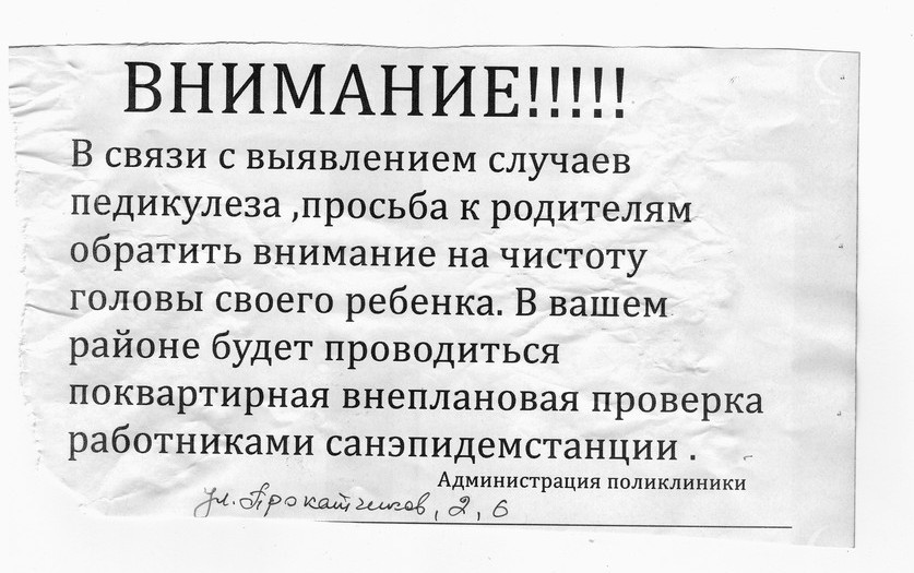 Текст родителям о проведении осмотра на педикулёз. В классе выявлен случай педикулеза. Сегодня состоялась проверка по вшам. Проверьте головы детей на педикулез уважаемые родители объявления.