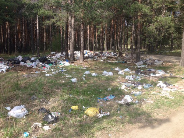 Жителей Талицы беспокоят стихийные свалки