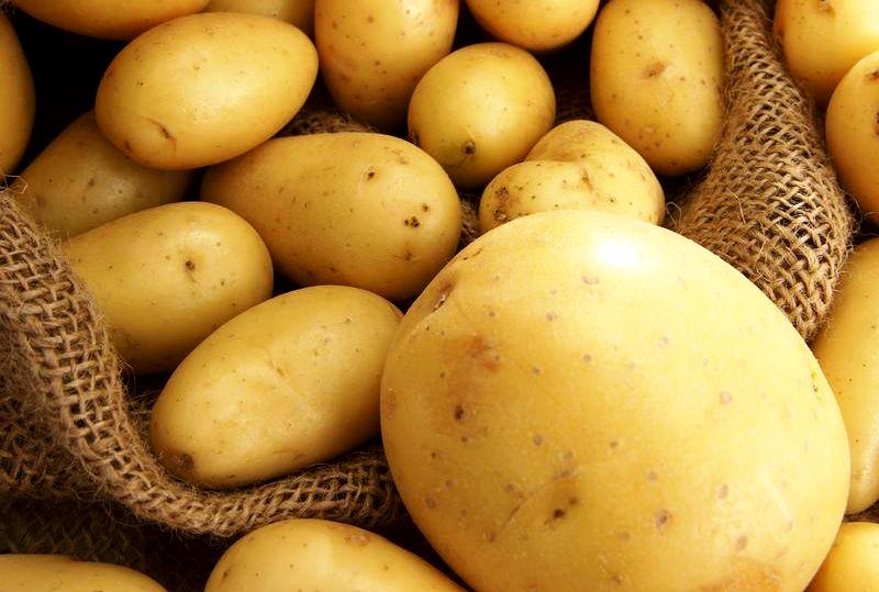 Власти Свердловской области будут восполнять нехватку картофеля за счет населения