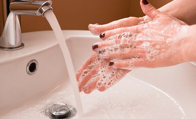 Чистота - залог здоровья! В Первоуральске отметили день чистых рук 