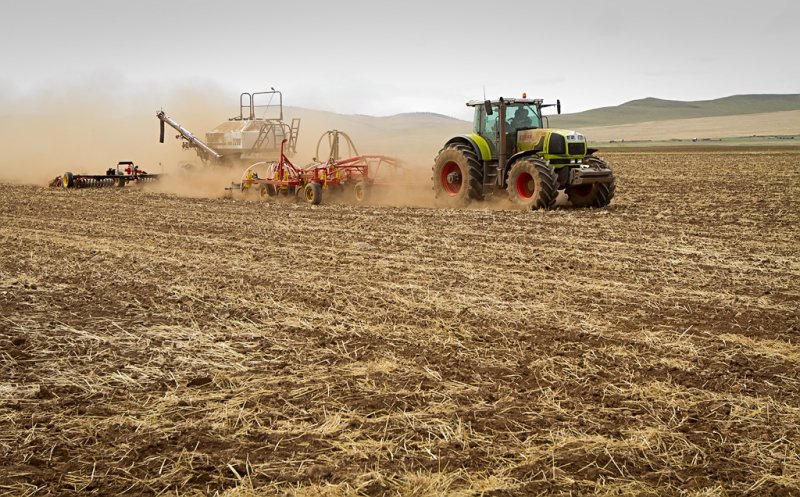 Свердловская область получит 17 миллионов рублей на помощь молодым фермерам