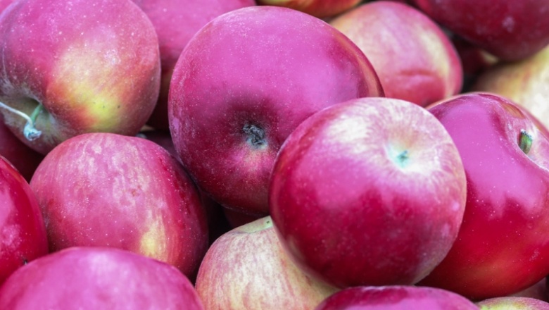 В Свердловской области уничтожили 653 кг санкционных яблок