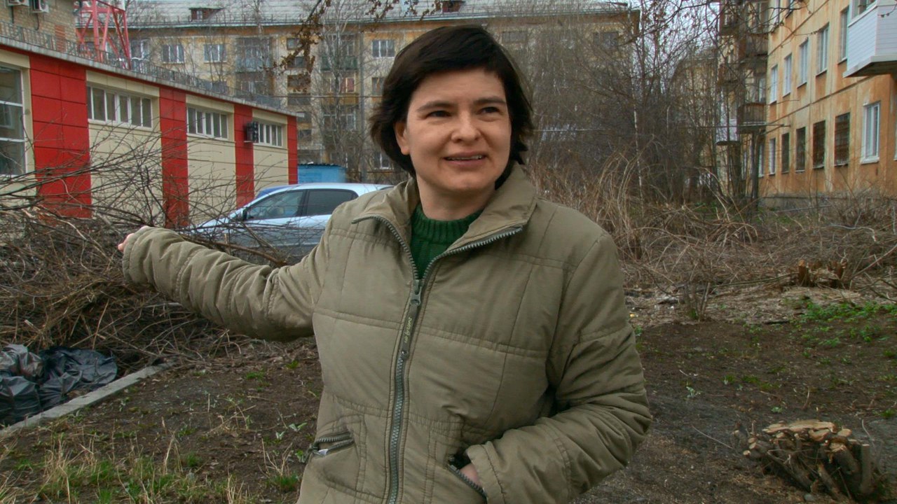Жительница Первоуральска опасается, что в ее дворе вырубят все деревья