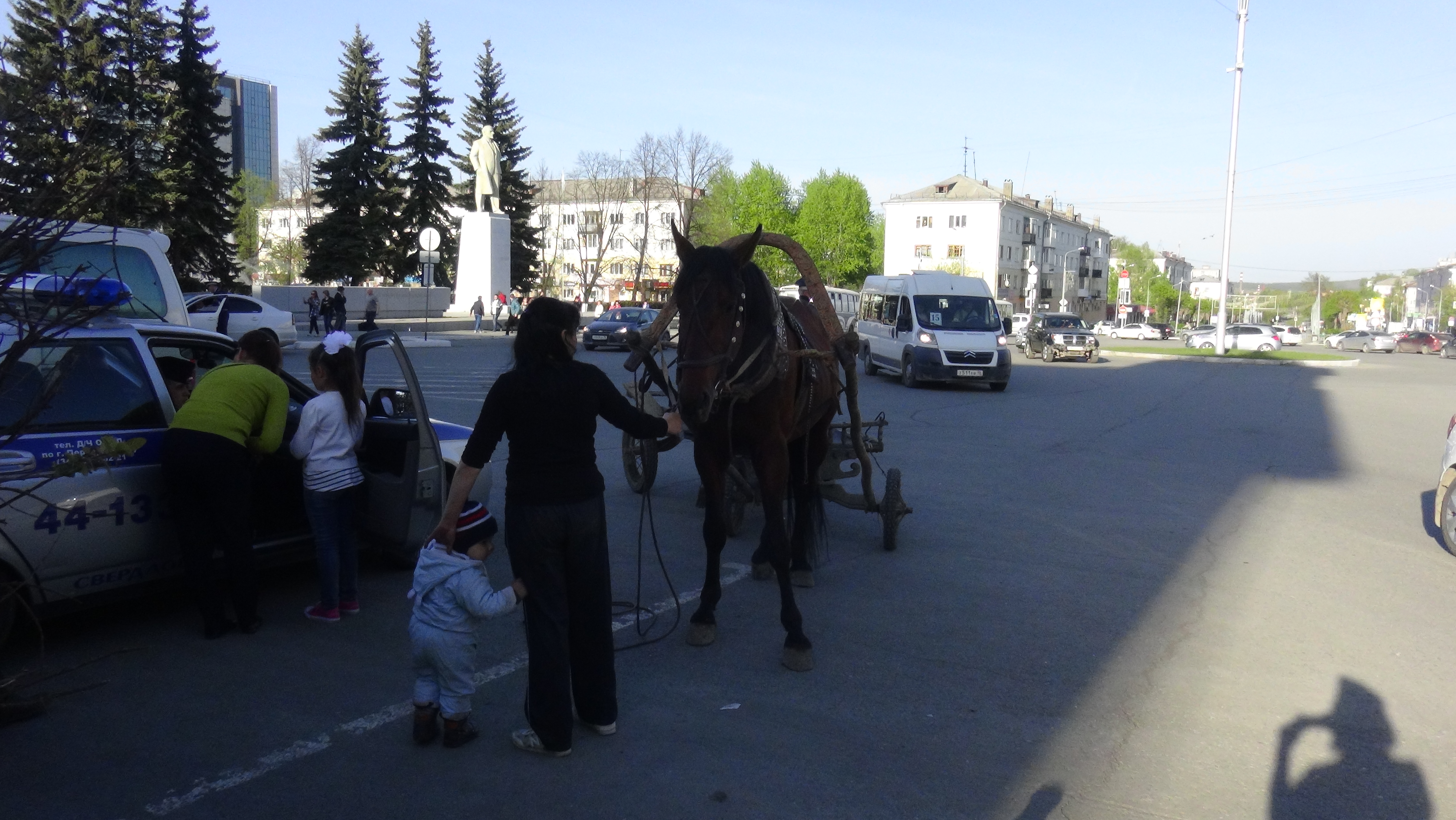 "Ямщик, не гони лошадей!" В Первоуральске автоинспекторы задержали нетрезвого извозчика