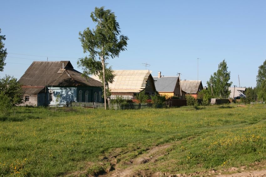 В России началась сельскохозяйственная перепись 