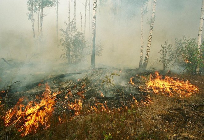 На Среднем Урале действуют 24 природных пожара