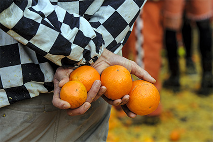 Цитрусовые фрукты признали эффективным средством от ожирения