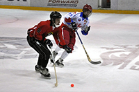 В Первоуральске пройдёт розыгрыш первенства России по мини-хоккею среди юношей