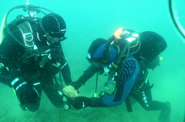  Археологи обнаружили на дне Черного моря обломки 41 судна разных эпох  