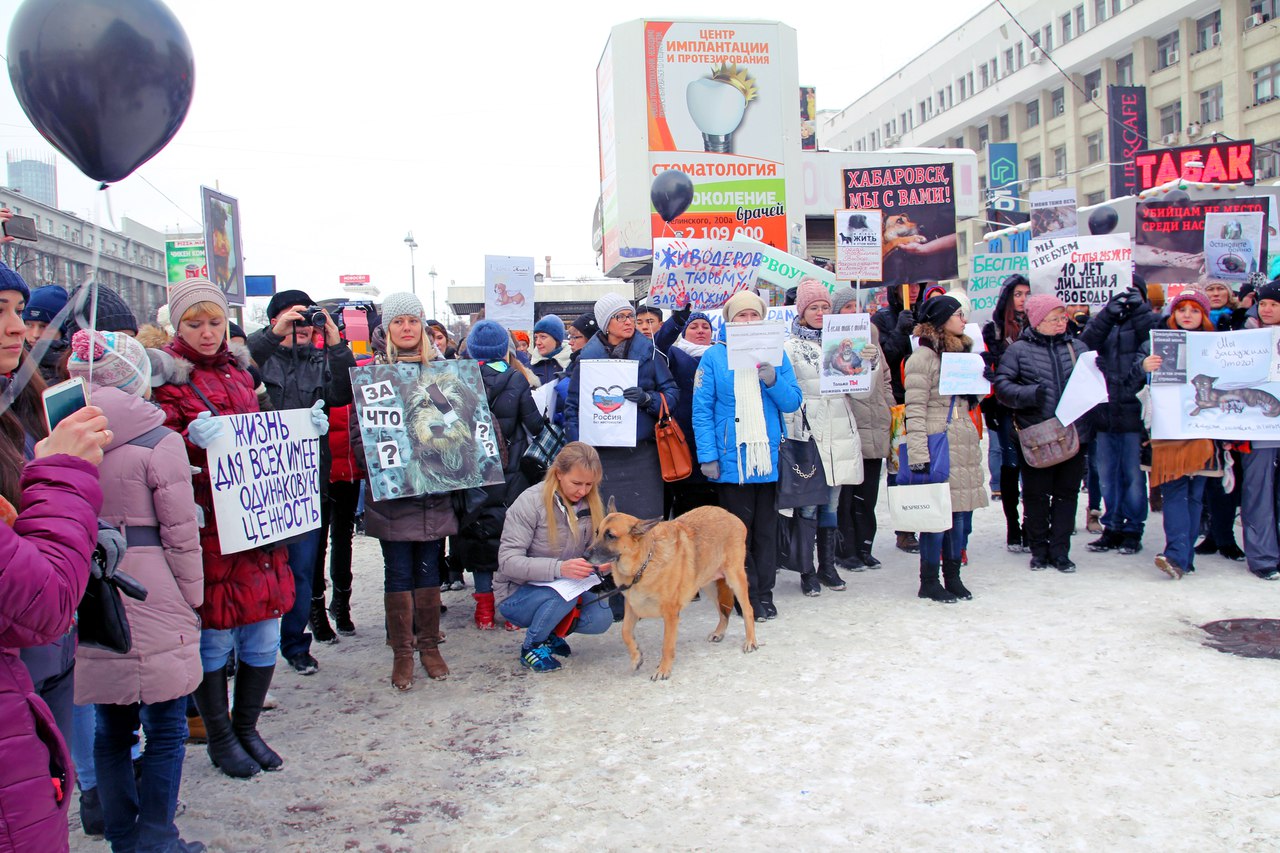 Уральские зоозащитники вышли на пикет