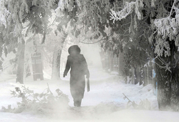 Выходные в Свердловской области будут аномально холодными
