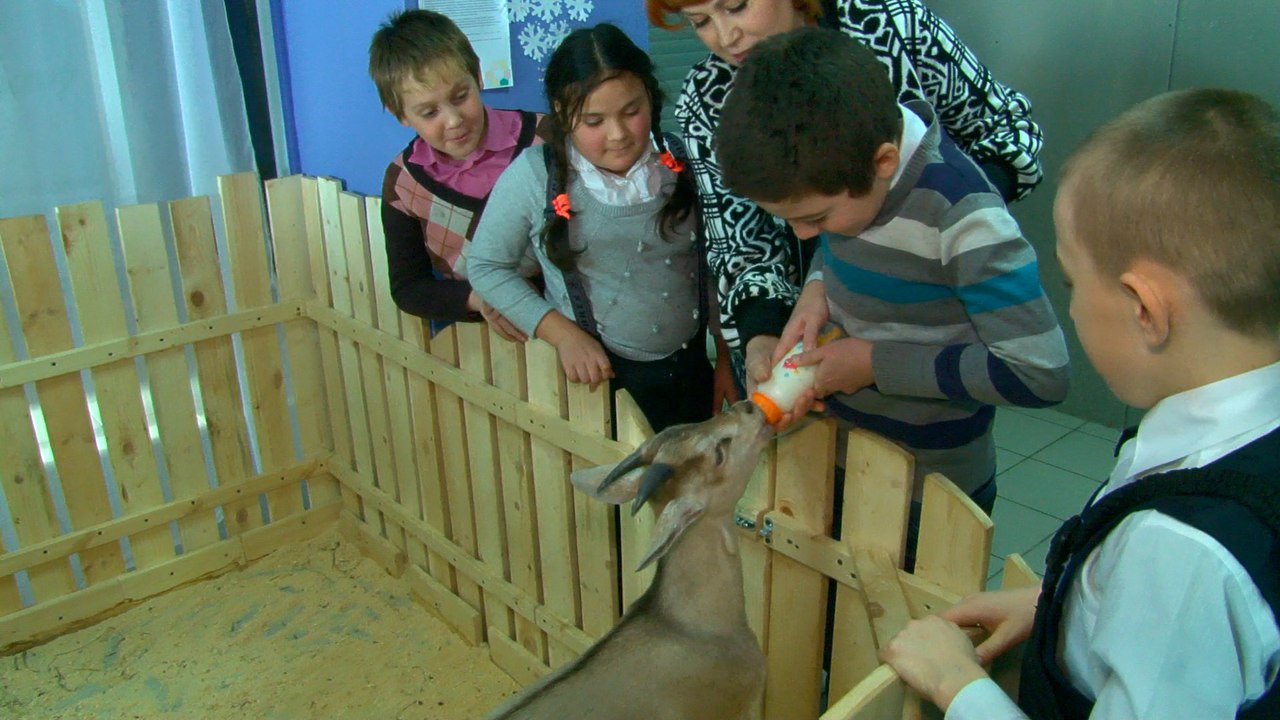 Контактный зоопарк провел социальную акцию для детей