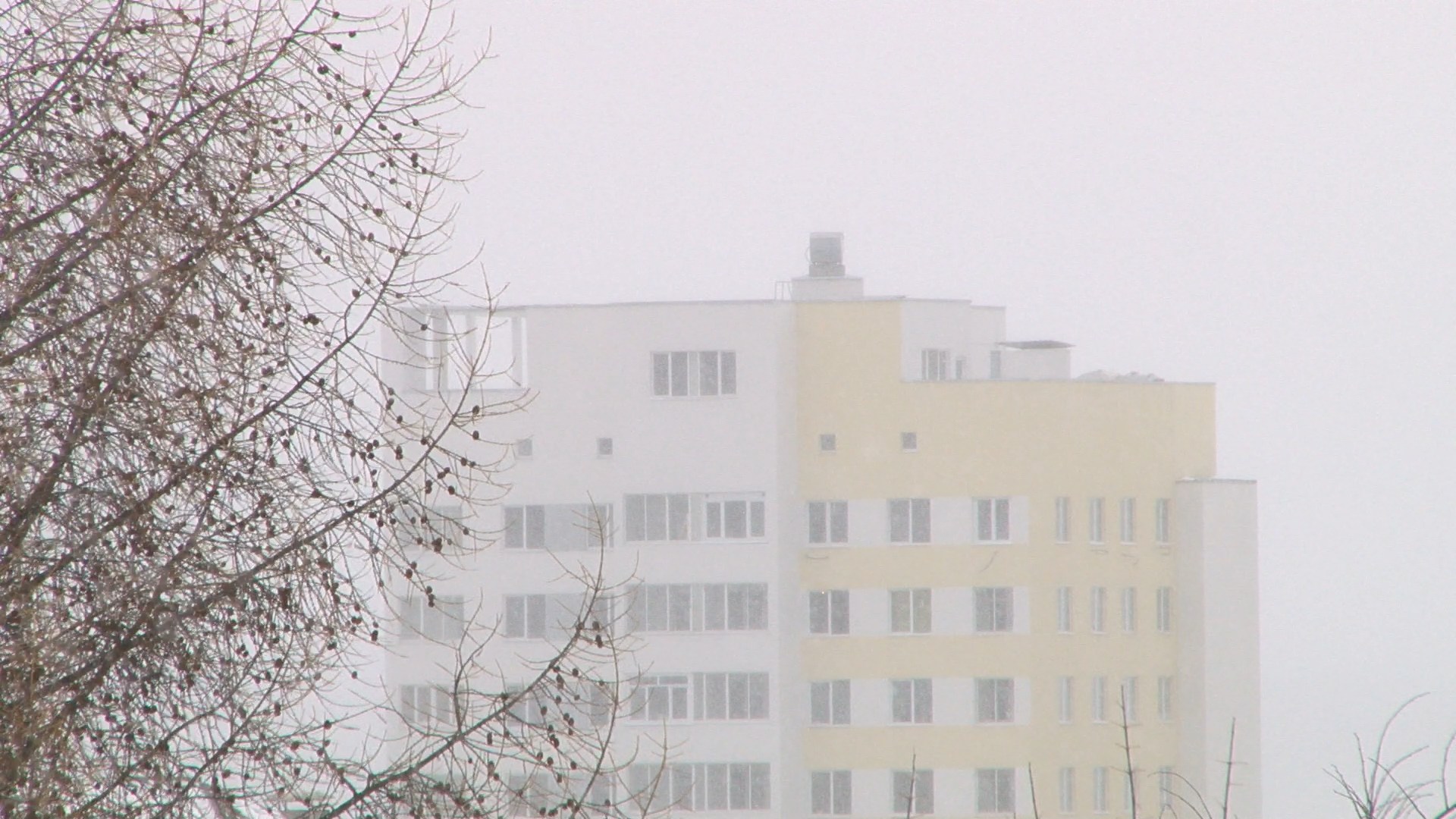 Снегопад накрыл Свердловскую область