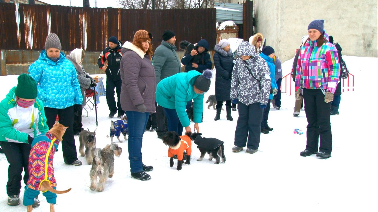 Собаководы вместе с питомцами провожали зиму